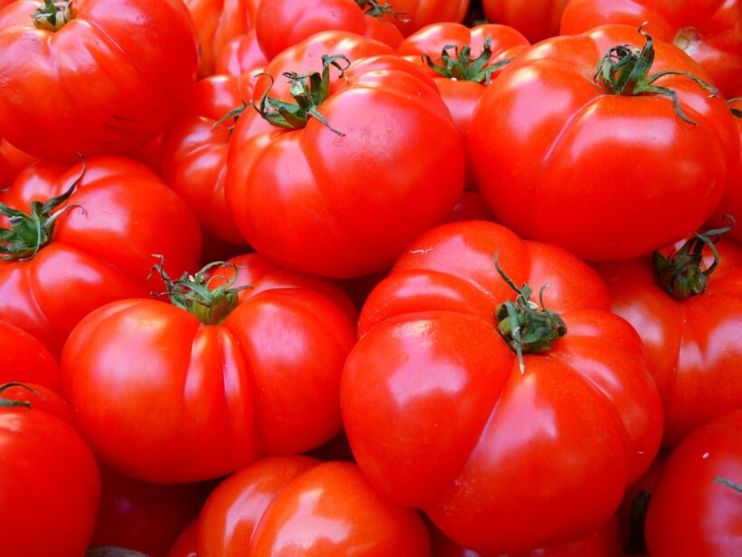 Pan con Tomate