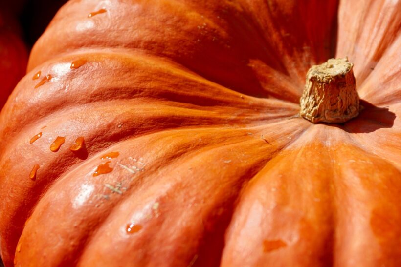 Crema de Calabaza